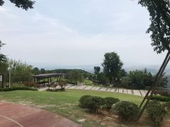 -铁山坪森林公园