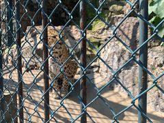 -大连森林动物园