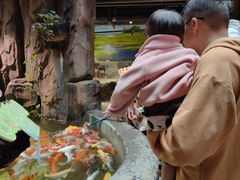 -正佳雨林生态植物园