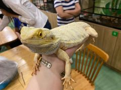 -藦茜花园宠物主题亲子互动体验馆(国顺东路店)