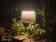 -厦门日月谷温泉渡假村