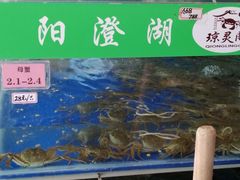 -阳澄湖大闸蟹·琼灵阁牌品牌连锁(吴中总店)