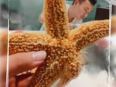 -圣罗巴海鲜烤肉自助(佳兆业店)