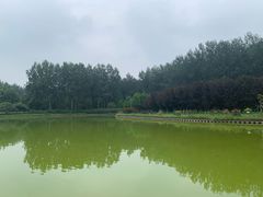 -仁和公园(顺义区)
