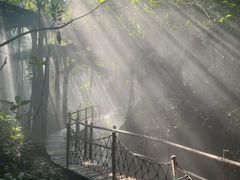 -青青世界