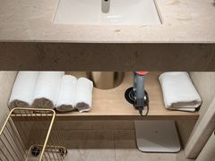 -南京东方珍珠voco酒店