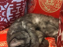 -元氏钵仔糕(北京路店)