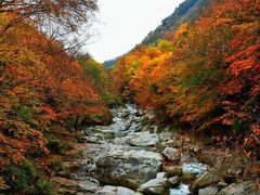 -光雾山旅游景区