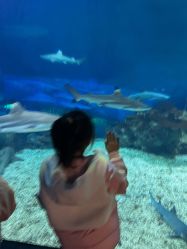 -卡通尼·Safari非洲探索乐园·生日会(金桥国际商业广场店)