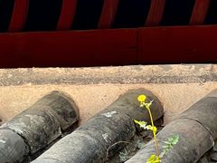 -宁波市保国寺古建筑博物馆