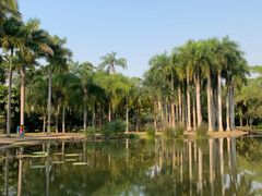 -中国科学院西双版纳热带植物园