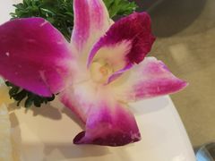 -中国吉菜名店广源宾馆餐厅