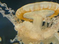 -绿色星球动物主题公园