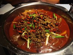 -宽口美蛙鱼头(大唐西市店)
