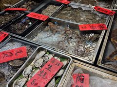-湛江渔港·大排档(乐园路总店)