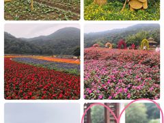 -广州市石门国家森林公园