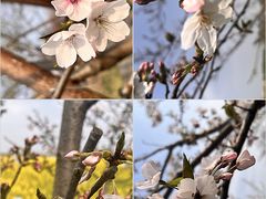 -花亭湖风景名胜区