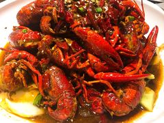 -不炭白烧烤(成都首店)