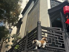 -葑门横街