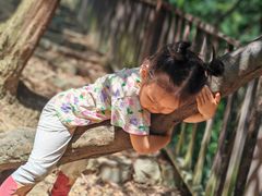 -铁山坪森林公园