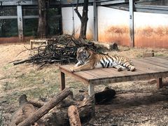 -昆明动物园