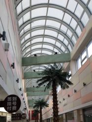 -复旦大学附属妇产科医院(杨浦院区)