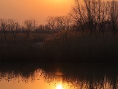 -大兴滨河森林公园