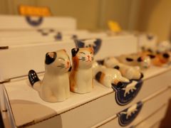 -猫咪博物馆(顶澳仔猫街店)