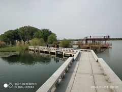 -贡湖湾湿地公园
