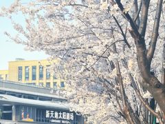 -新天地活力PARK