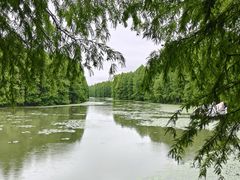 -上海海湾国家森林公园