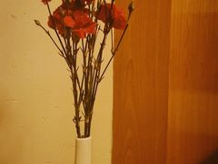 -柴务处·柴犬主题狗咖