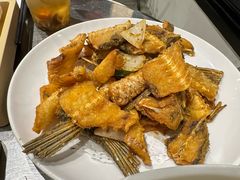 -渔顺生·顺德鱼生·粥底火锅·桑拿鸡(渔人码头店)