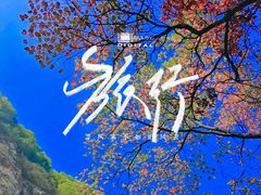 -少华山国家森林公园
