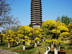 -西海子公园