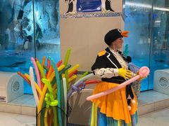 -帝企鹅自助餐厅•儿童岛•真企鹅(长隆企鹅酒店)