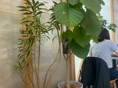 -Green Option(官舍店)