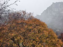 -秦岭终南山世界地质公园翠华山景区