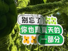 -东南花都花博园