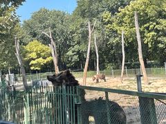 -秦皇岛野生动物园
