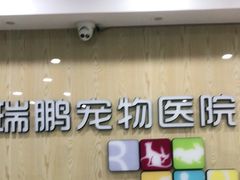-瑞鹏宠物医院犬猫全科(真大分院)
