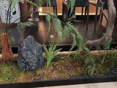 -大神太神·铁板烧(七宝领展广场店)