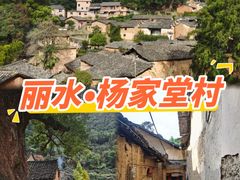 -杨家堂村