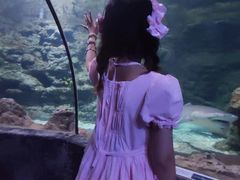 -南昌海洋公园