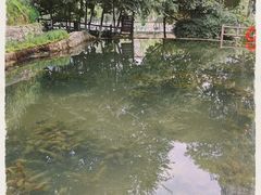 -成都市活水公园