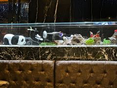 -红辣椒·川菜·火锅(大洋中心店)