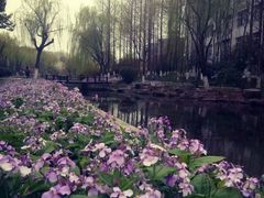 -杭州师范大学(下沙校区)