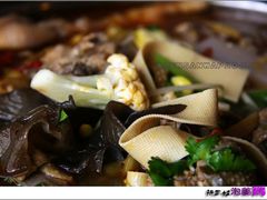 -陈三娃泡姜鸡(太白北路店)