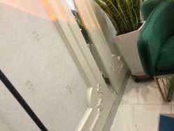 -欧扬医疗美容