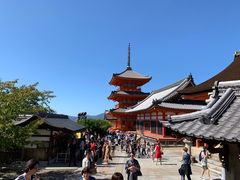 -有栖山 清光院 清水寺